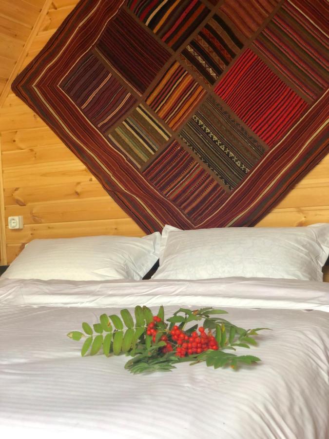 Kazbegi Kuro Cottages מראה חיצוני תמונה